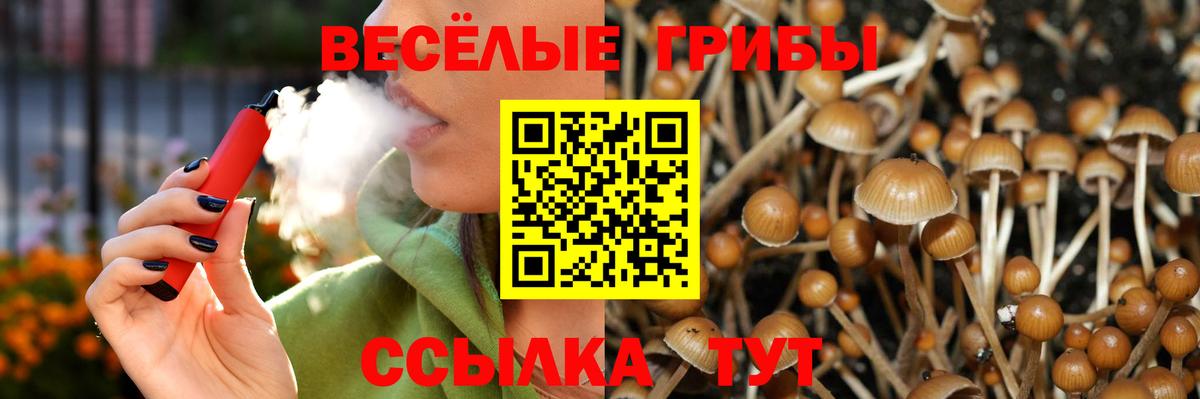 Сочи  Псилоцибиновые грибы Cubensis  Вход с VPN 